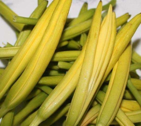 新鮮黃花菜如何保存？教你黃花菜的3種貯存方法，貯存一年沒問題