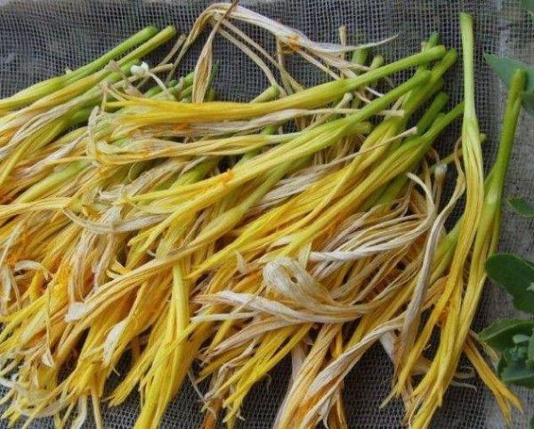 新鮮黃花菜如何保存？教你黃花菜的3種貯存方法，貯存一年沒問題
