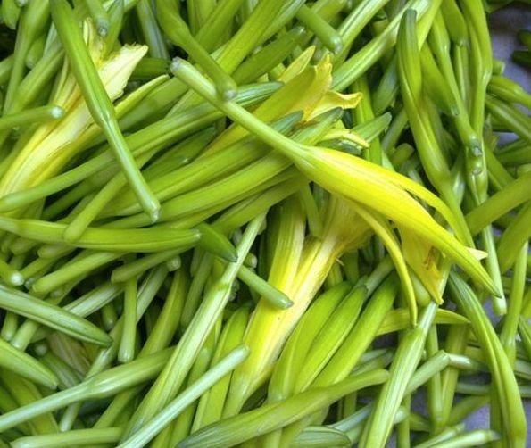 新鮮黃花菜如何保存？教你黃花菜的3種貯存方法，貯存一年沒問題
