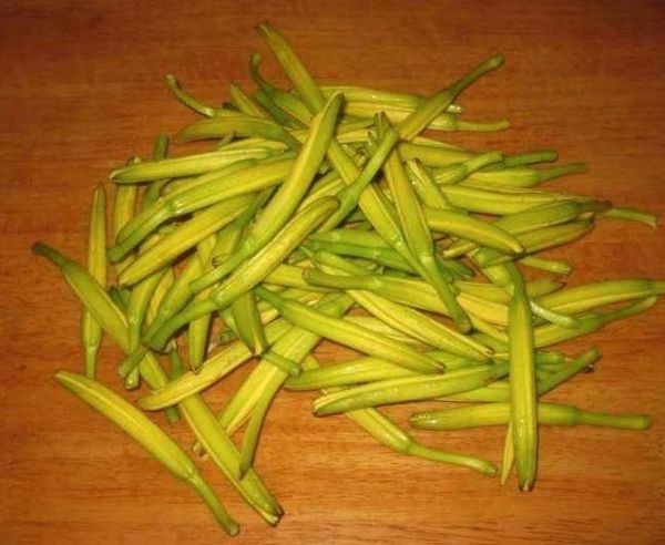 新鮮黃花菜如何保存？教你黃花菜的3種貯存方法，貯存一年沒問題