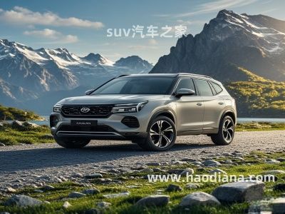2024年8月自主SUV銷量排行榜