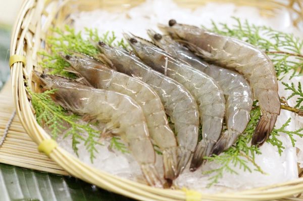 圖片
