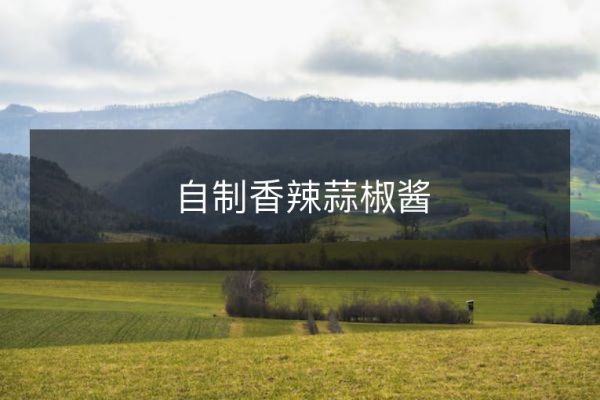 自制香辣蒜椒醬