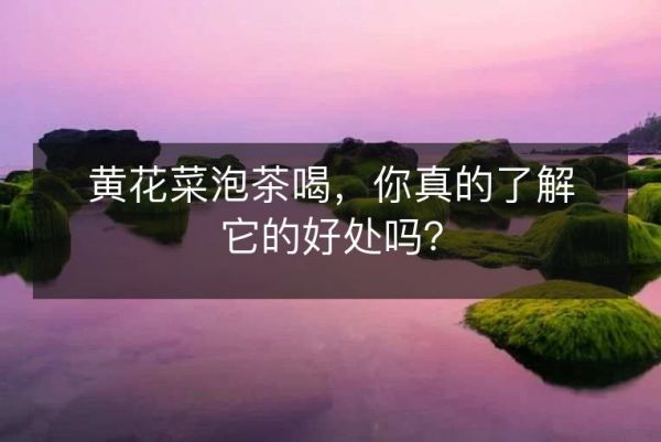 黃花菜泡茶喝，你真的了解它的好處嗎？