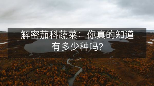 解密茄科蔬菜：你真的知道有多少種嗎？