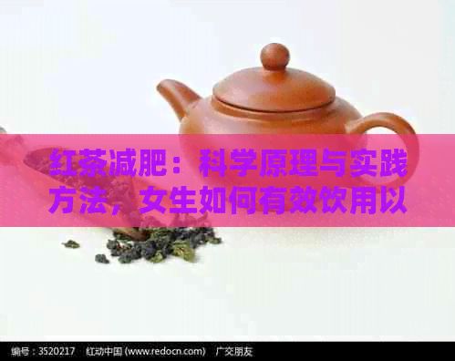 紅茶減肥：科學(xué)原理與實(shí)踐方法，女生如何有效飲用以達(dá)到瘦身效果？