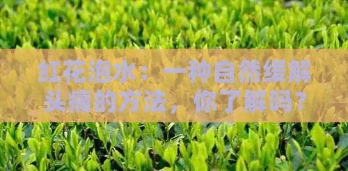 紅花泡水：一種自然緩解頭痛的方法，你了解嗎？
