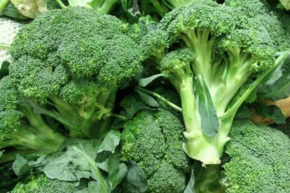 10种最佳富含植物蛋白的食物