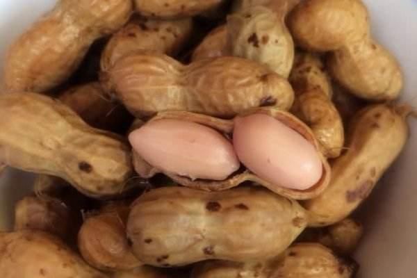 生花生、煮花生、炒花生，哪種吃法最有營養(yǎng)？吃錯(cuò)了影響身體健康