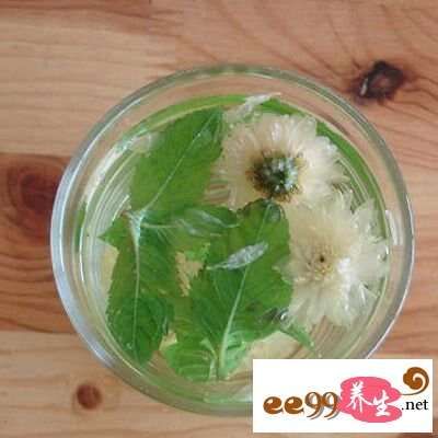 菊花薄荷飲