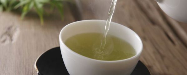 養(yǎng)生茶的神奇力量 養(yǎng)生茶怎么喝 養(yǎng)生茶