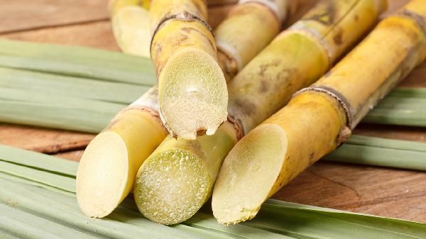 新鮮的甘蔗可以放冰箱冷凍保存嗎 甘蔗冷凍半年還可以吃么