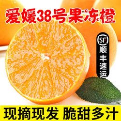 四川爱媛38号果冻橙 5斤（单果约60-65MM）