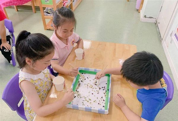 幼兒園中班健康活動教案：筷子夾夾樂