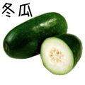 トウガン