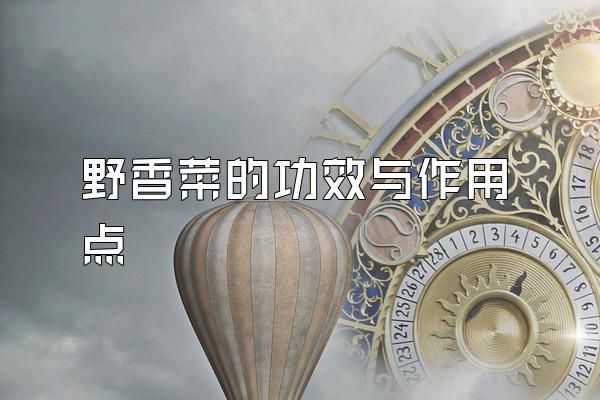 野香菜的功效與作用點(diǎn)