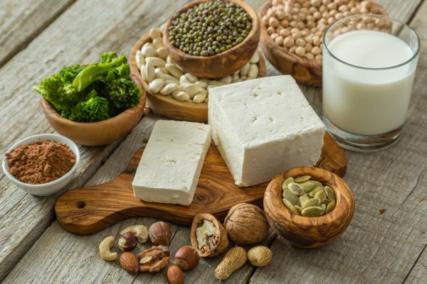 alimentos ricos en proteína vegetal