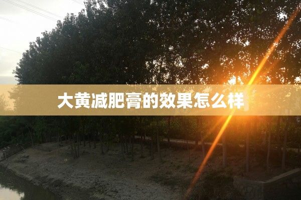 大黃減肥膏的效果怎么樣