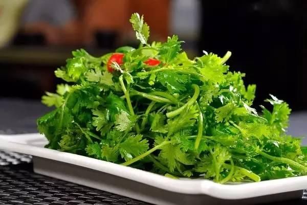 假如每天都吃香菜，會對身體有什么好處？