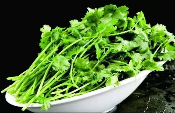 假如每天都吃香菜，會對身體有什么好處？