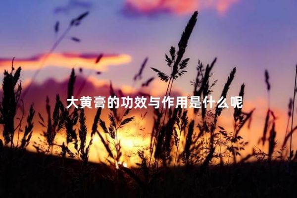 大黃膏的功效與作用是什么呢