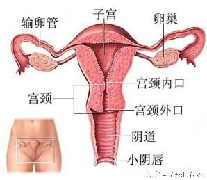 女性私密處健康的10件事，你可能不知道？
