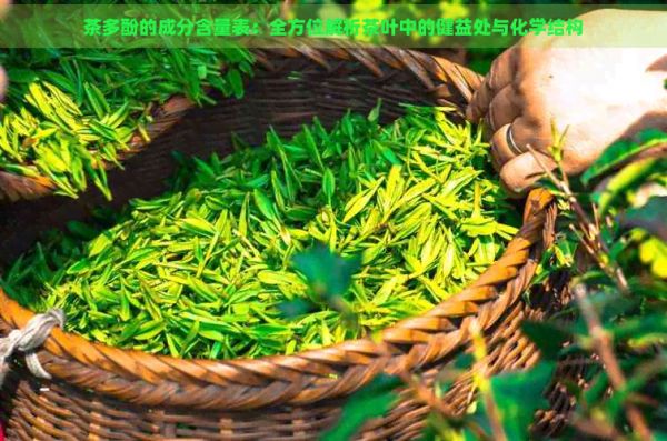 茶多酚的成分含量表：全方位解析茶葉中的健益處與化學(xué)結(jié)構(gòu)