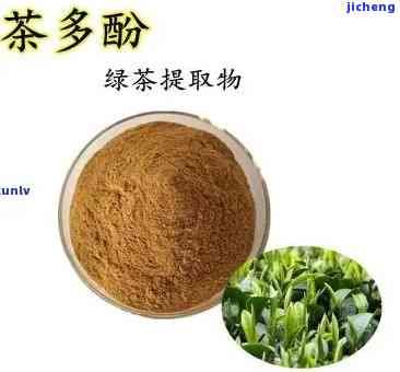 茶多酚主要成分有哪些，揭秘茶多酚：主要成分解析