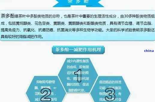 茶多酚主要成分