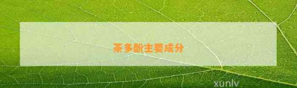 茶多酚主要成分
