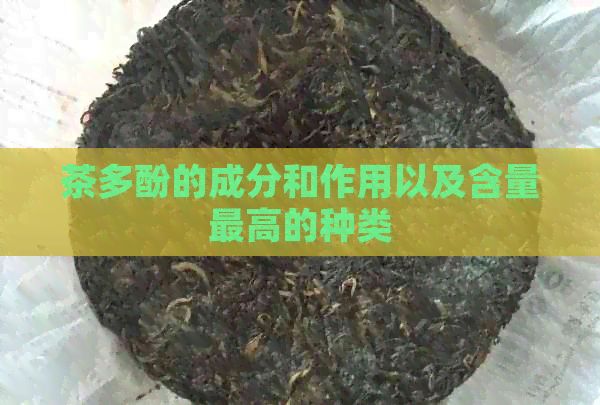 茶多酚的成分和作用以及含量更高的種類