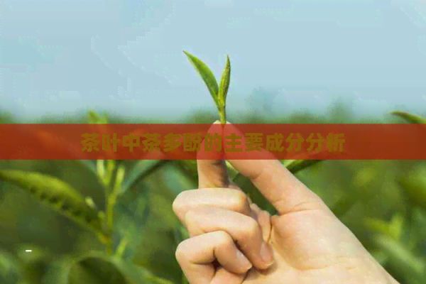 茶葉中茶多酚的主要成分分析