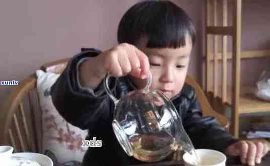 普洱茶有茶多酚嘛為什么：探討普洱茶中的茶多酚含量及其作用