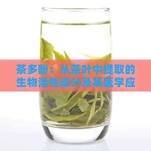 茶多酚：从茶叶中提取的生物活性成分及其医学应用