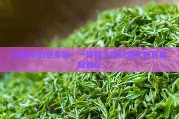 紅茶中的茶多酚：一種強大的抗氧化劑及其健益處