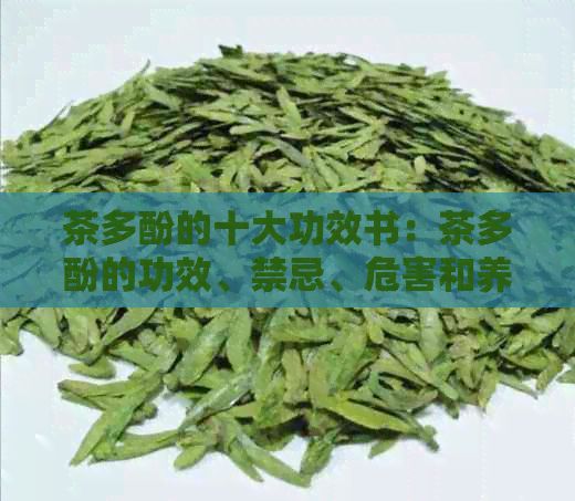 茶多酚的十大功效书：茶多酚的功效、禁忌、危害和养生作用。