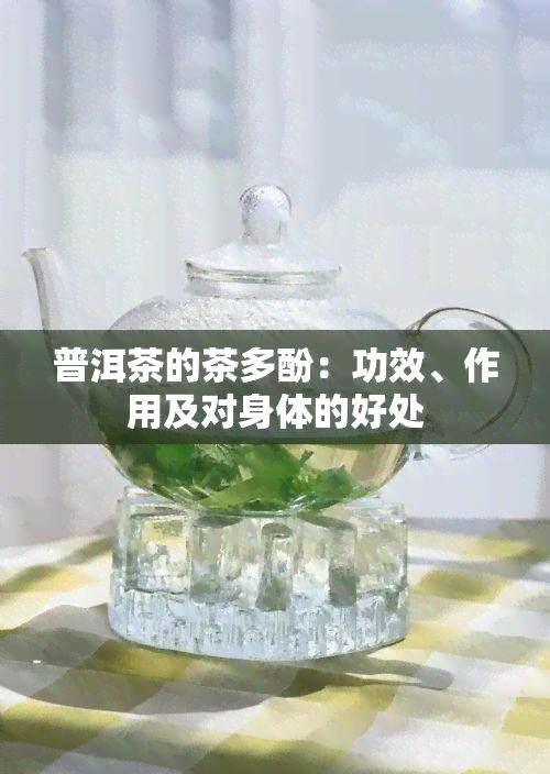 普洱茶的茶多酚：功效、作用及对身体的好处