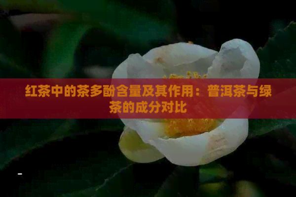 紅茶中的茶多酚含量及其作用：普洱茶與綠茶的成分對(duì)比