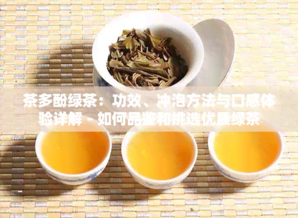 茶多酚綠茶：功效、沖泡方法與口感體驗(yàn)詳解 - 如何品鑒和挑選優(yōu)質(zhì)綠茶