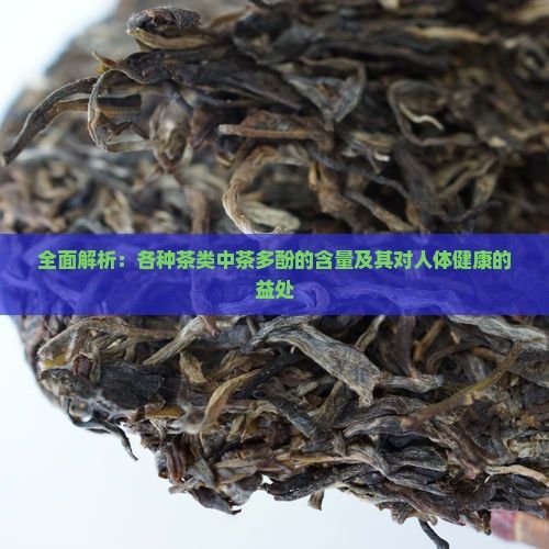 全面解析：各种茶类中茶多酚的含量及其对人体健康的益处