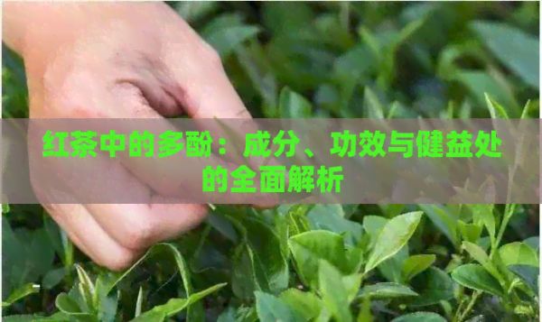 红茶中的多酚：成分、功效与健益处的全面解析