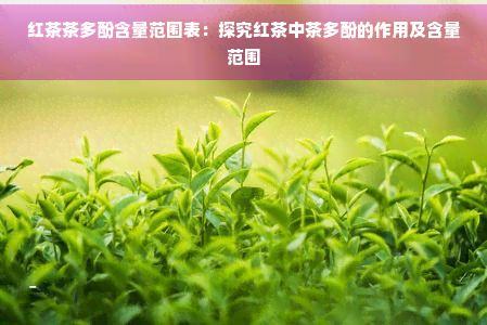 红茶茶多酚含量范围表：探究红茶中茶多酚的作用及含量范围
