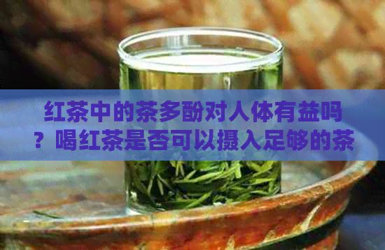 紅茶中的茶多酚對人體有益嗎？喝紅茶是否可以攝入足夠的茶多酚？