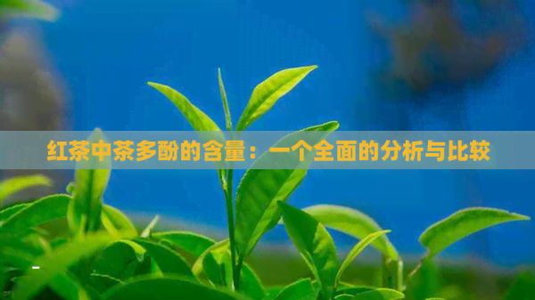 紅茶中茶多酚的含量：一個全面的分析與比較