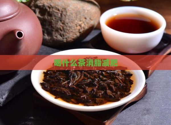 喝什么茶消脂減肥