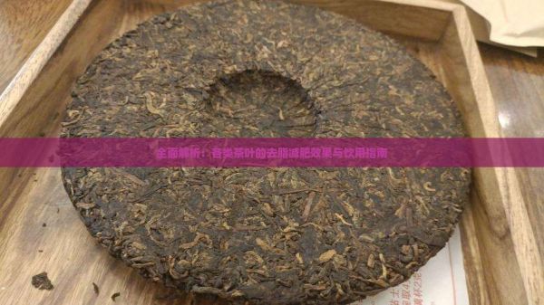 全面解析：各類茶葉的去脂減肥效果與飲用指南
