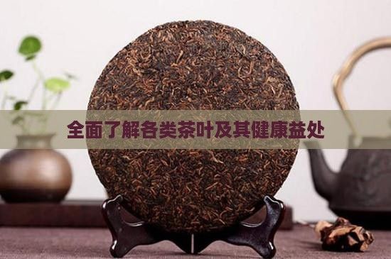 全面了解各類茶葉及其健康益處