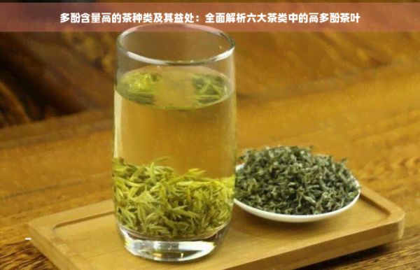 多酚含量高的茶種類及其益處：全面解析六大茶類中的高多酚茶葉