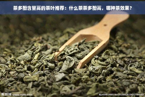 茶多酚含量高的茶葉推薦：什么茶茶多酚高，哪種茶效果？