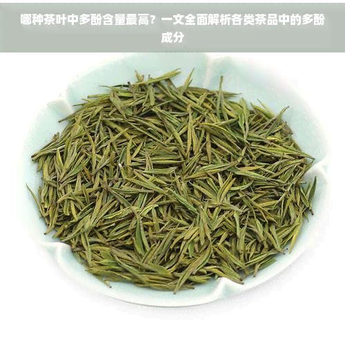 哪種茶葉中多酚含量更高？一文全面解析各類茶品中的多酚成分